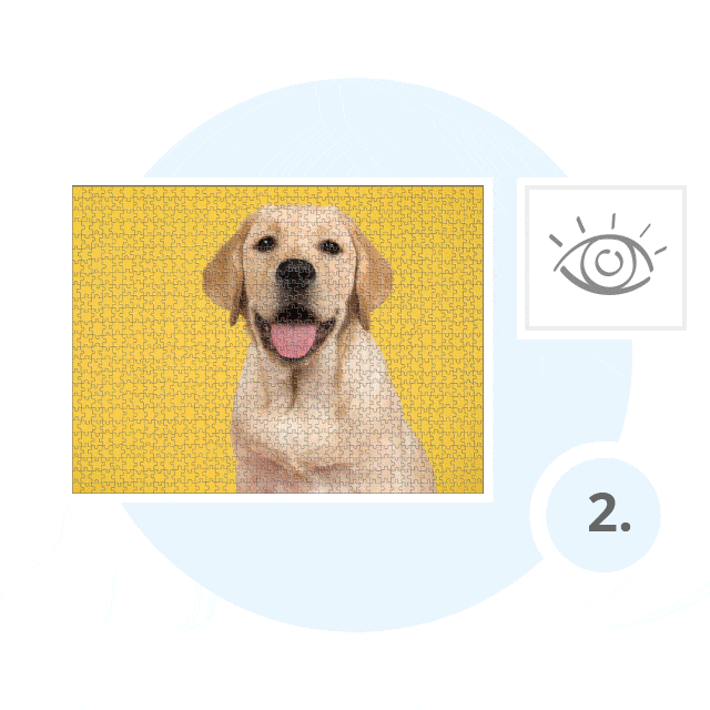 Escolhe o layout favorito e adiciona o texto