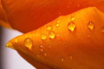 Acabamento requintado