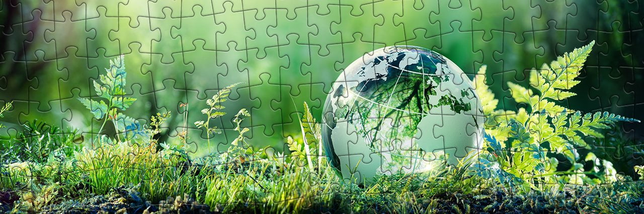Puzzles sustentáveis: o nosso contributo para a proteção do ambiente